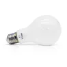 LED FIL COB BULB E27 6 W 2700 K DEPOLI BOITE