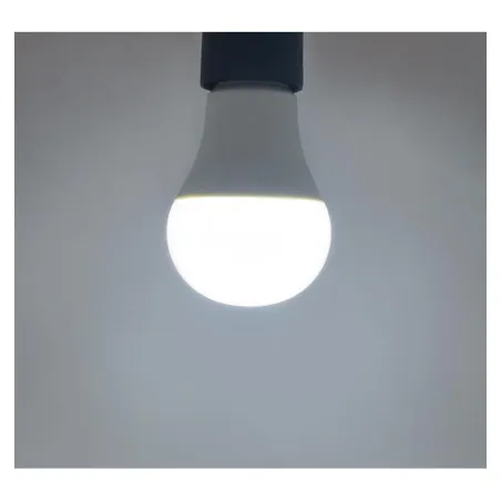 LED 12 W BULB E27 6000 K BOITE