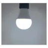 LED 12 W BULB E27 6000 K BOITE
