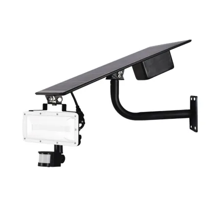PROJECT LED 20 W SOLAIRE AVEC DETECTEUR 4000 K GRIS IP65