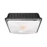 SPOT GARAGE 70 W IP 67 4000K