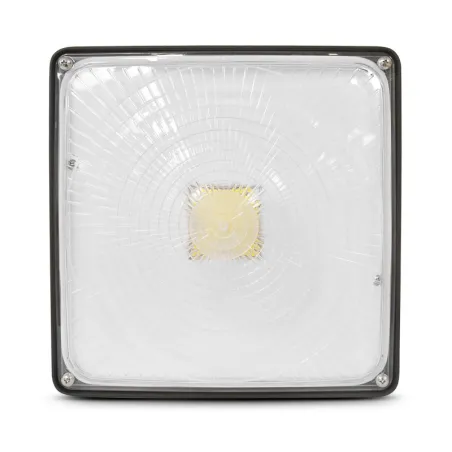 SPOT GARAGE 70 W IP 67 4000K