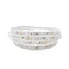 Ruban LED RGB + Blanc 4000K IP67 – 5 mètres 24V | Bandeau LED Étanche Multicolore avec Blanc Neutre