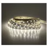 BANDE LED  BLANC 4000 K  5 M  60 LEDS ET 4.8 W / M IP20 12V