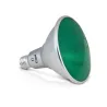 LED PAR38 16 W E27 VERT 25deg IP 65 BOITE