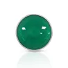 LED PAR38 16 W E27 VERT 25deg IP 65 BOITE