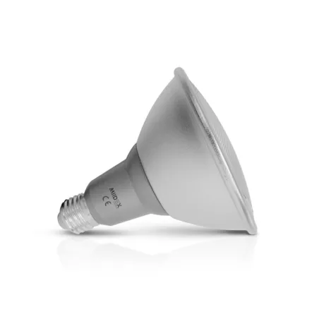 LED PAR38 16 W E27 4000K BOITE IP65 GRIS