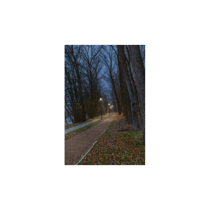Lampadaire éclairage public extérieure 60w led gris anthracite ip65-220v-4300 lumens-3000k