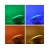 LED  PAR56 PISCINE 12V AC 18 W CCT + RGB BOITE