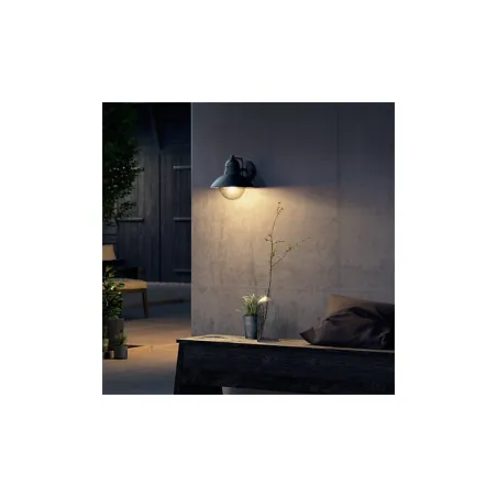 Applique extérieur Philips noire ip44 culot e27 bas