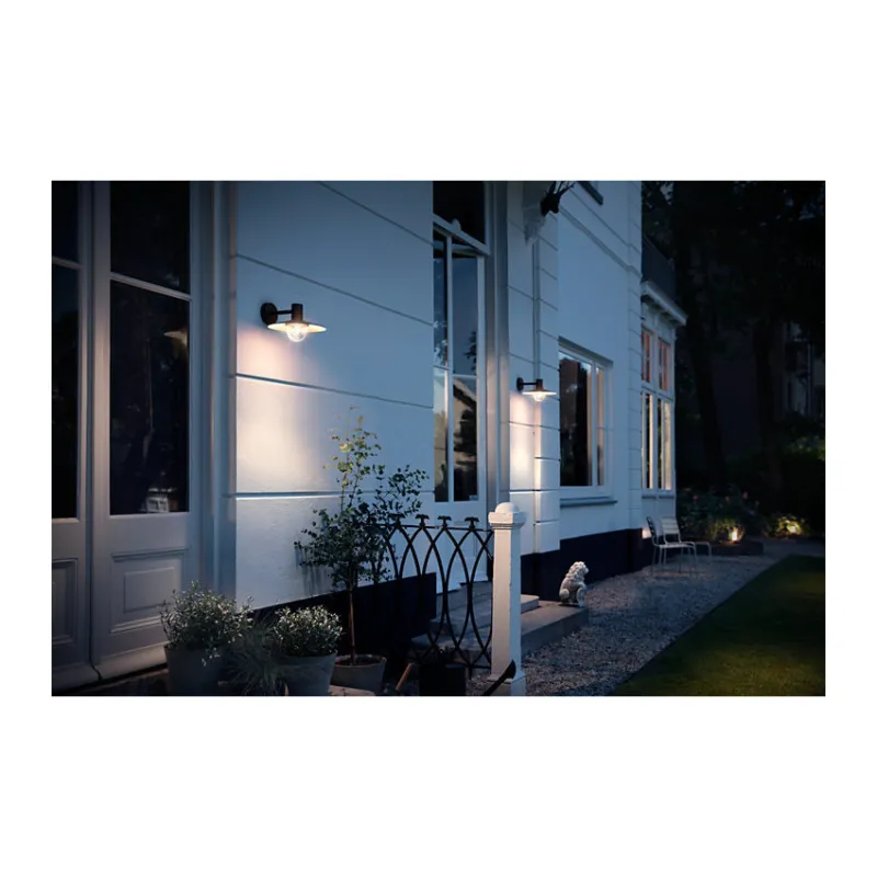 Applique extérieur Philips noire ip44 culot e27 bas
