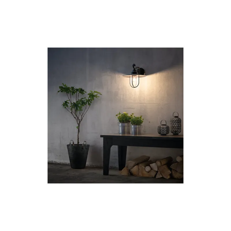 Applique extérieur Philips noire ip44 culot e27 bas