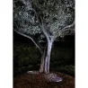 Encastré de sol ARGIN IP67 LED SMD 10.50W 4000K Acier inoxydable