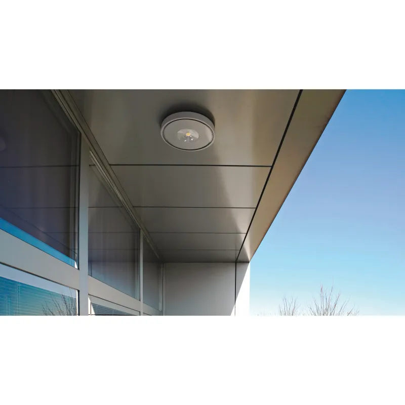 Applique VIENA IP65 LED COB 30W 3000K Blanc