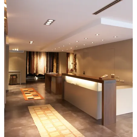 Encastré de plafond ATOLON Noir