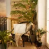 Guirlande solaire 2m lumineuse led décoration blanc chaud 3000k