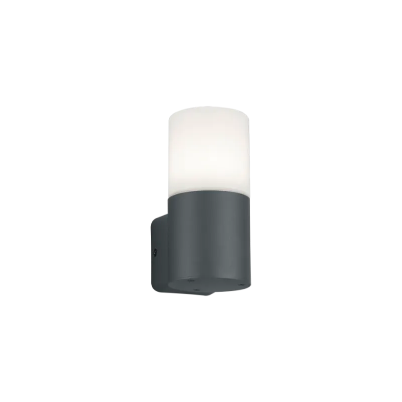 TRIO Applique extérieur antracite et blanc HOOSIC - Pas cher