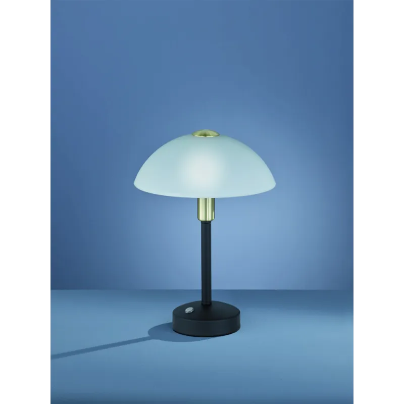 TRIO Lampe de table intérieur noir mat et blanc DONNA - Pas cher