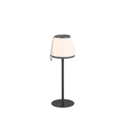 TRIO Lampe de table extérieur antracite DOMINGO - Pas cher