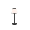 TRIO Lampe de table extérieur antracite DOMINGO - Pas cher
