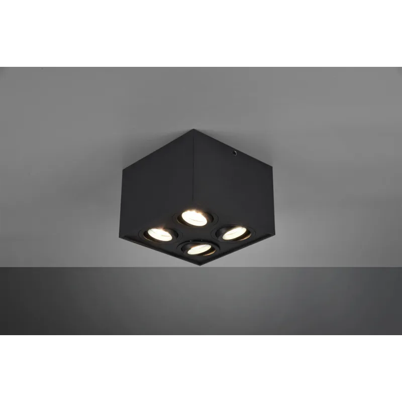 TRIO Plafonnier intérieur noir mat BISCUIT - Pas cher
