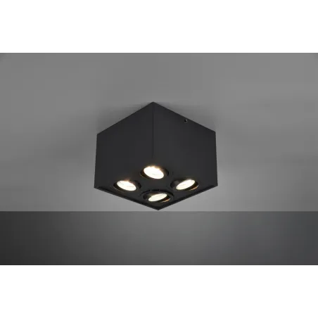 TRIO Plafonnier intérieur noir mat BISCUIT - Pas cher