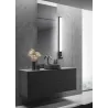 Applique Intérieur Plastique noir mat 230V. LED 3000K 2200lm.