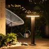 borne-potelet-60cm-a-fixer-led-12w-ip54-jardin-3000k-850-lumens