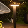 borne-potelet-60cm-a-fixer-led-12w-ip54-jardin-3000k-850-lumens