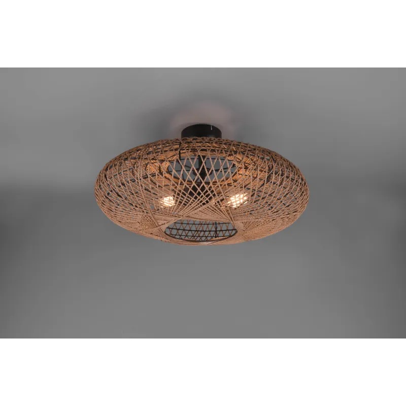 Plafonnier Intérieur Métal noir mat 230V.