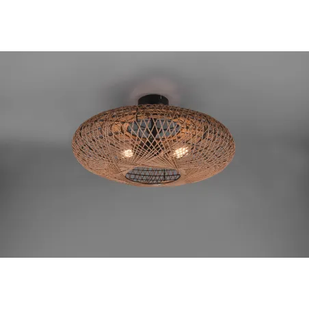 Plafonnier Intérieur Métal noir mat 230V.