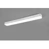 Plafonnier Intérieur Métal Blanc mat 230V. LED 2700 - 6500K 3800lm.