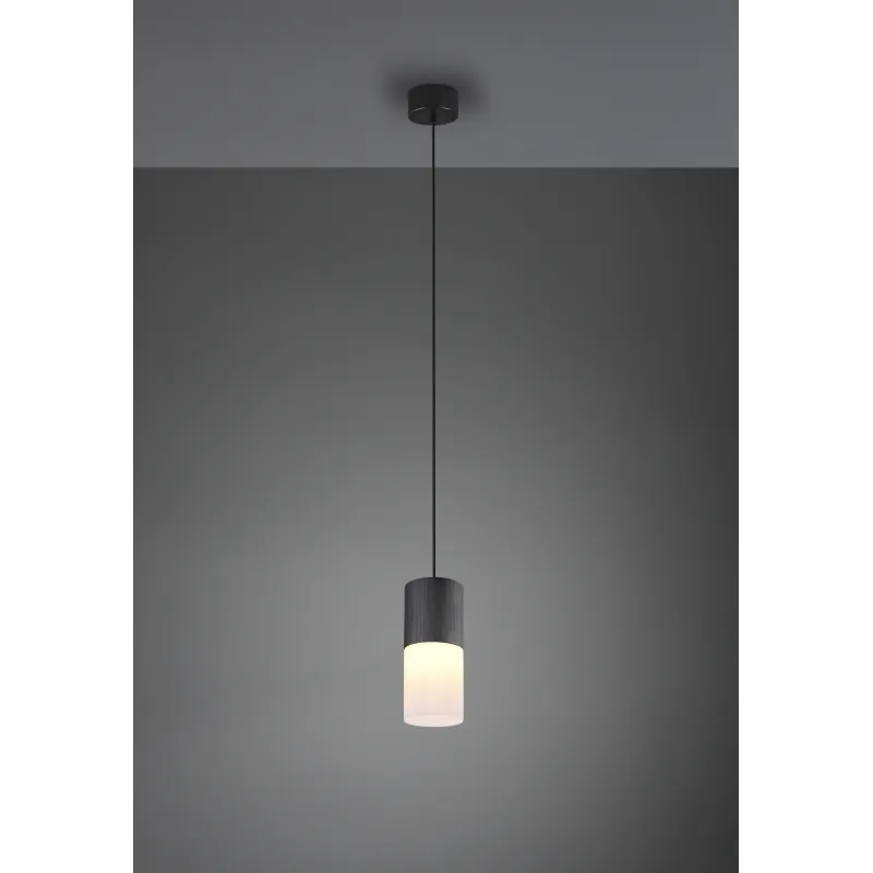 Suspension Intérieur Métal noir mat 230V.