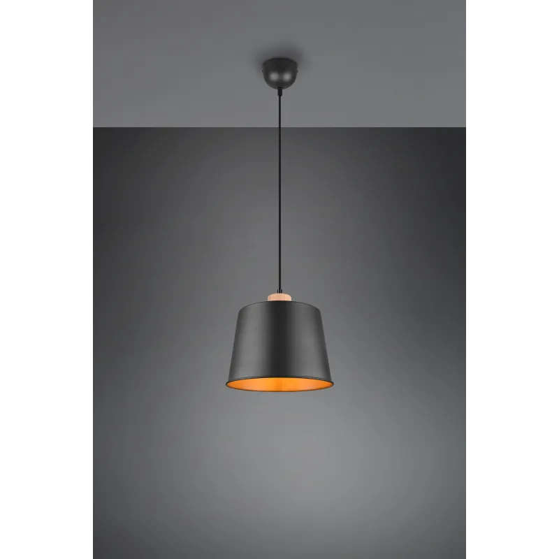 Suspension Intérieur Métal noir mat 230V.
