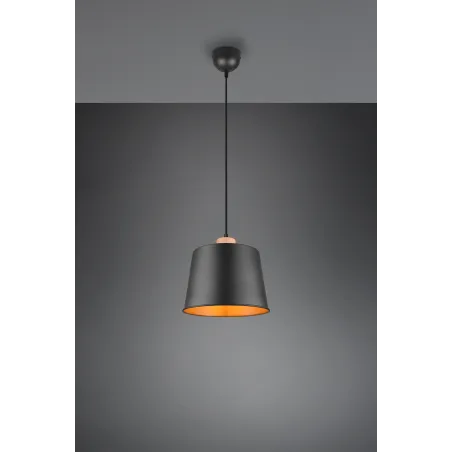 Suspension Intérieur Métal noir mat 230V.