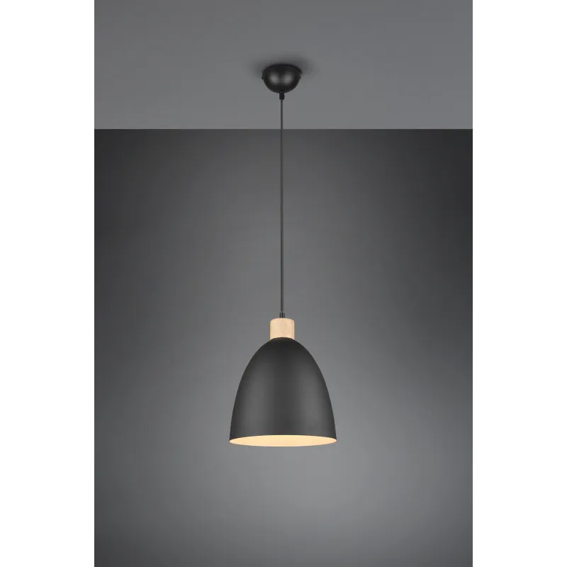 Suspension Intérieur Métal noir mat 230V.