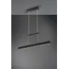 Suspension Intérieur Métal noir mat 230V. LED 3000K 3000lm.