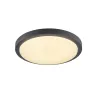 AINOS, applique et plafonnier extérieur, anthracite, LED, 22W, 3000K, IP44, détecteur de mouvements