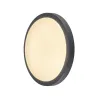 AINOS, applique et plafonnier extérieur, anthracite, LED, 22W, 3000K, IP44, détecteur de mouvements
