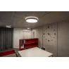 MEDO 30 AMBIENT, applique et plafonnier intérieur, rond, gris, LED, 15W, 3000K/4000K, variable Dali