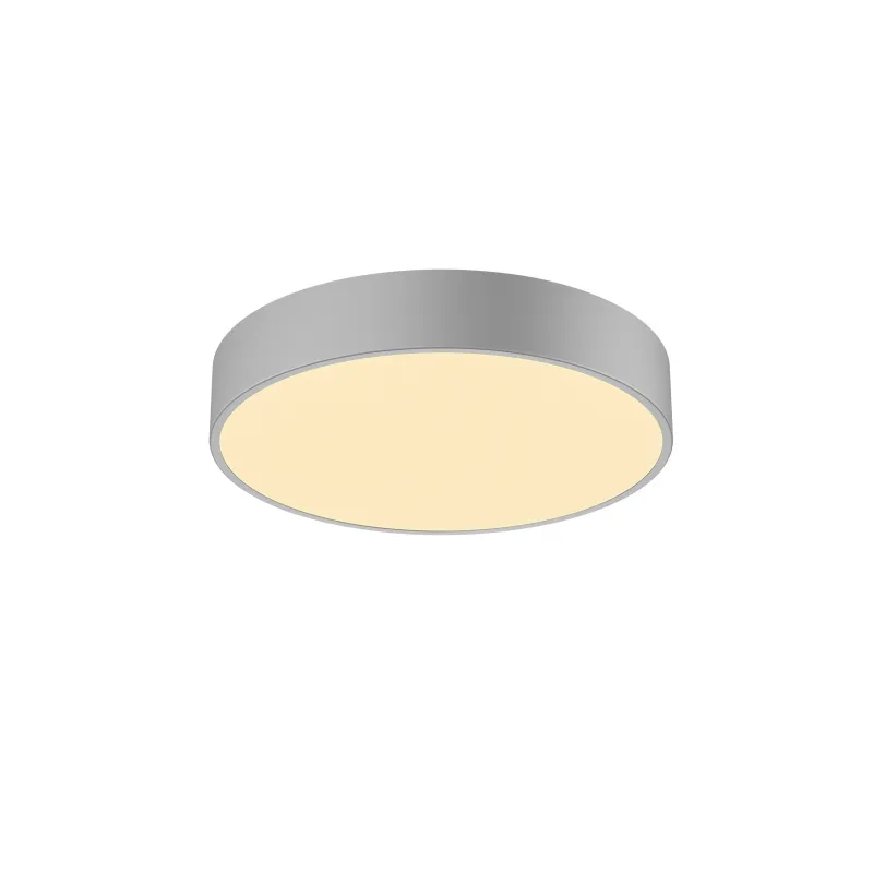 MEDO 40 AMBIENT, applique et plafonnier intérieur, rond, gris, LED, 30W, 3000K/4000K, variable Dali