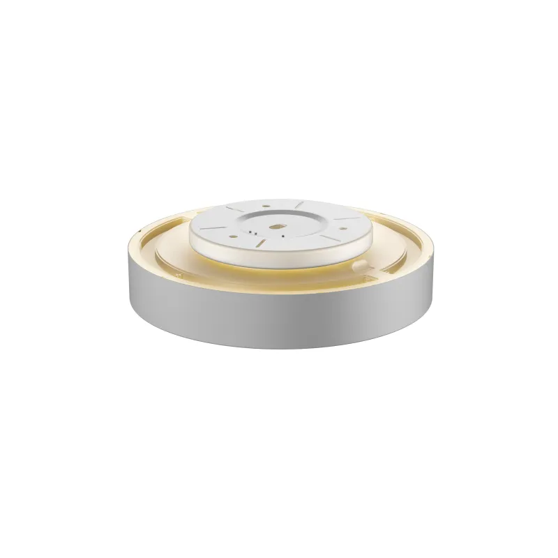 MEDO 40 AMBIENT, applique et plafonnier intérieur, rond, gris, LED, 30W, 3000K/4000K, variable Dali