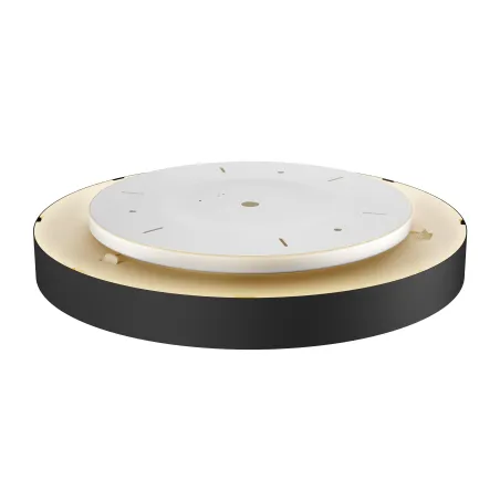 MEDO 60 AMBIENT, applique et plafonnier intérieur, rond, noir, LED, 40W, 3000K/4000K, variable Dali