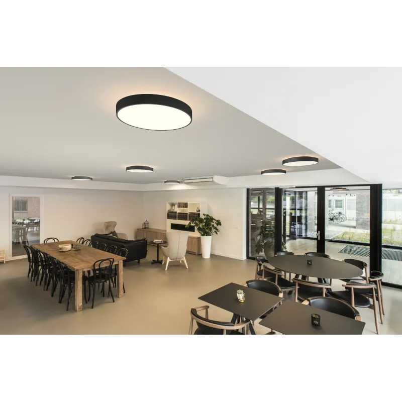 MEDO 60 AMBIENT, applique et plafonnier intérieur, rond, noir, LED, 40W, 3000K/4000K, variable Dali