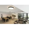 MEDO 60 AMBIENT, applique et plafonnier intérieur, rond, noir, LED, 40W, 3000K/4000K, variable Dali