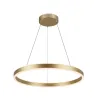ONE 60, suspension intérieure, up/down, laiton, LED, 24W, 2700/3000K, interrupteur CCT, variable