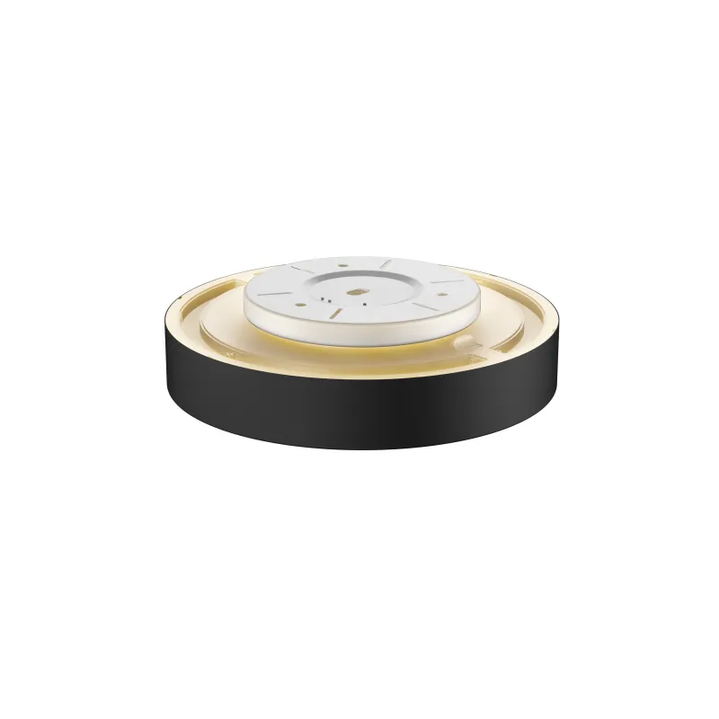 MEDO 40 AMBIENT, applique et plafonnier intérieur, rond, noir, LED, 30W, 3000K/4000K, variable