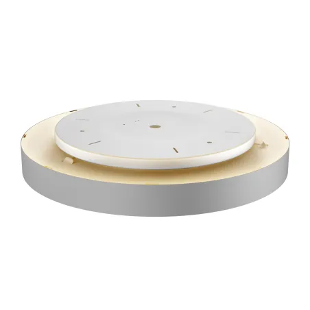 MEDO 60 AMBIENT, applique et plafonnier intérieur, rond, gris, LED, 40W, 3000K/4000K, variable