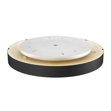 MEDO 60 AMBIENT, applique et plafonnier intérieur, rond, noir, LED, 40W, 3000K/4000K, variable