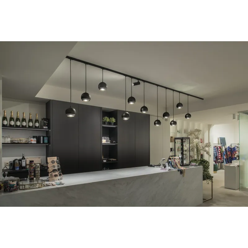 LIGHT EYE® 150, suspension pour rail 1 allumage intérieur, noir/chrome, GU10/QPAR111, 75W max